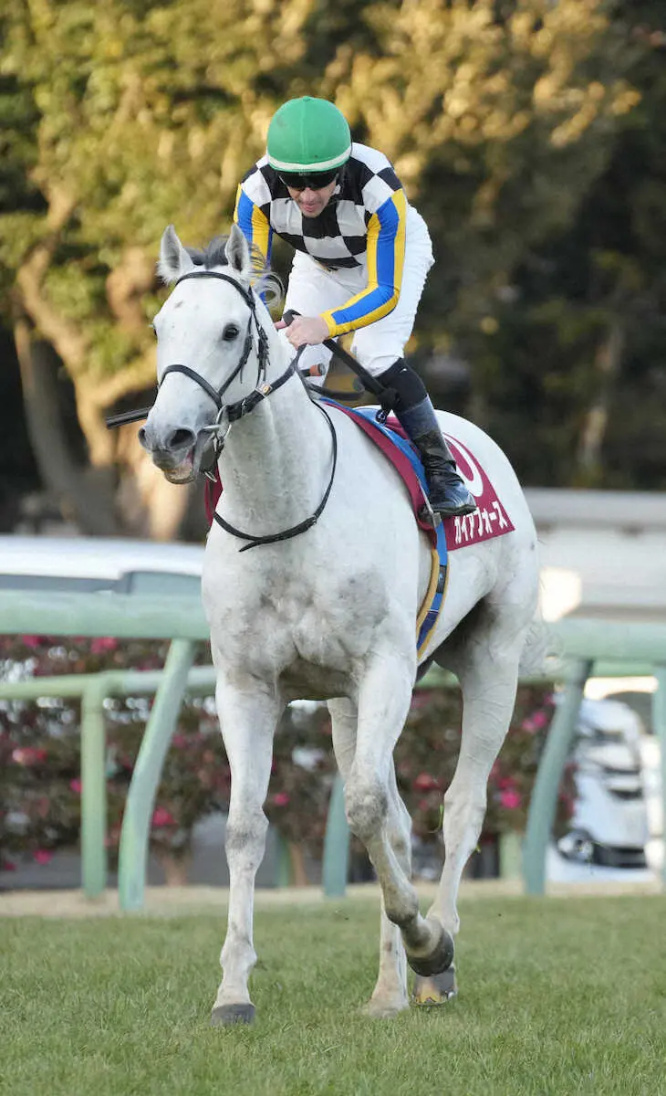 ＜アメリカジョッキークラブカップ＞5着でレースを終えたガイアフォース（撮影・郡司　修）