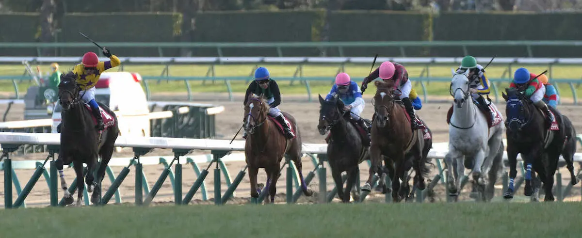 ＜中山11R・AJC杯＞内ラチ沿いを伸びたノースブリッジ（左端）（撮影・郡司　修）