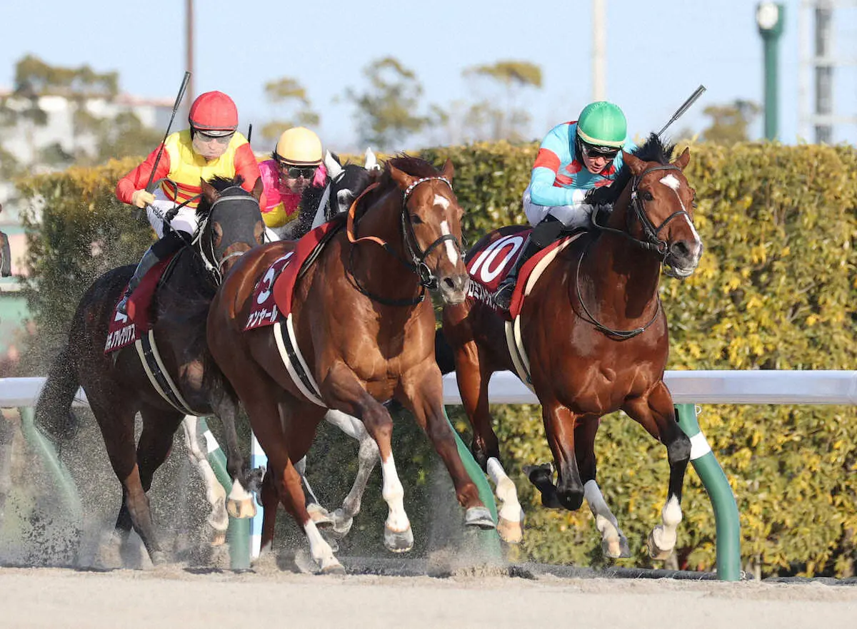 ＜中京11R・東海S＞逃げ切り、重賞初制覇するプロミストウォリア（右）（撮影・平嶋　理子）