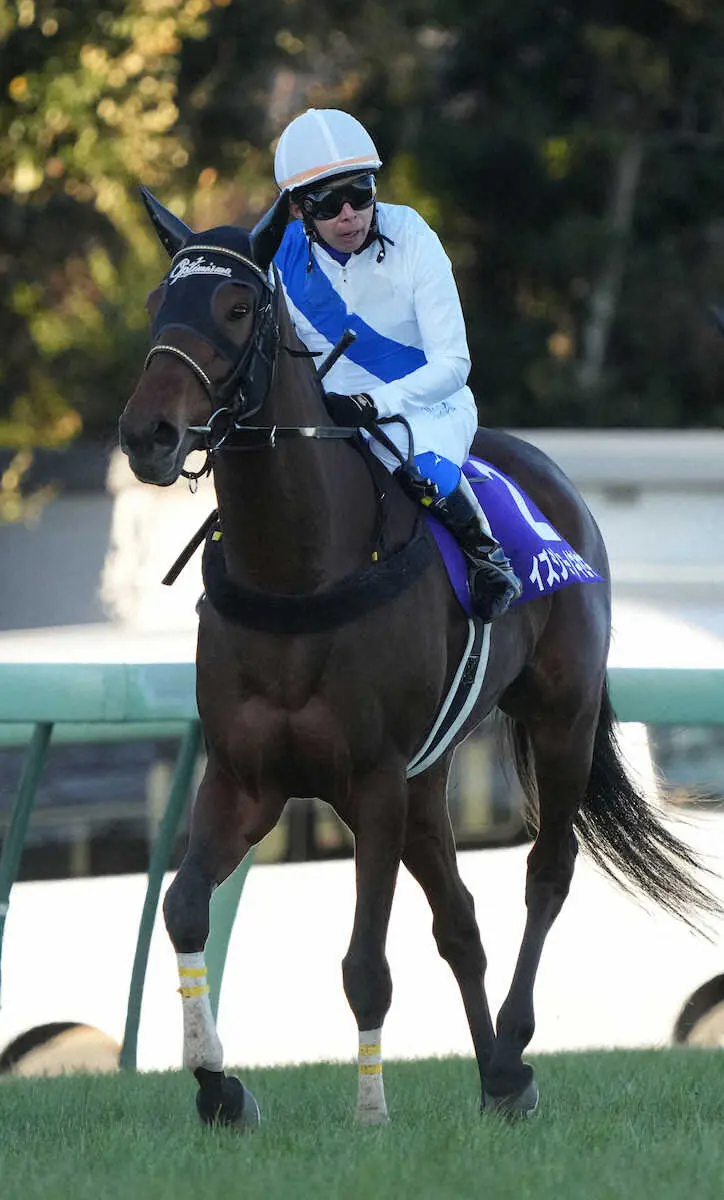 有馬記念で4着だったイズジョーノキセキ