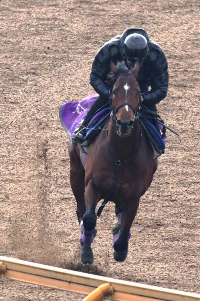意欲的に追い切られたドウデュース