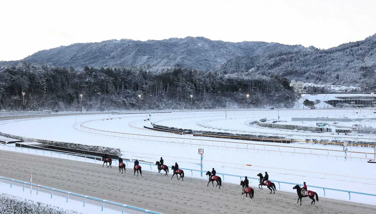 25日、CWコースなどが使用不可のためEコースを使用する馬たち（撮影・亀井　直樹）