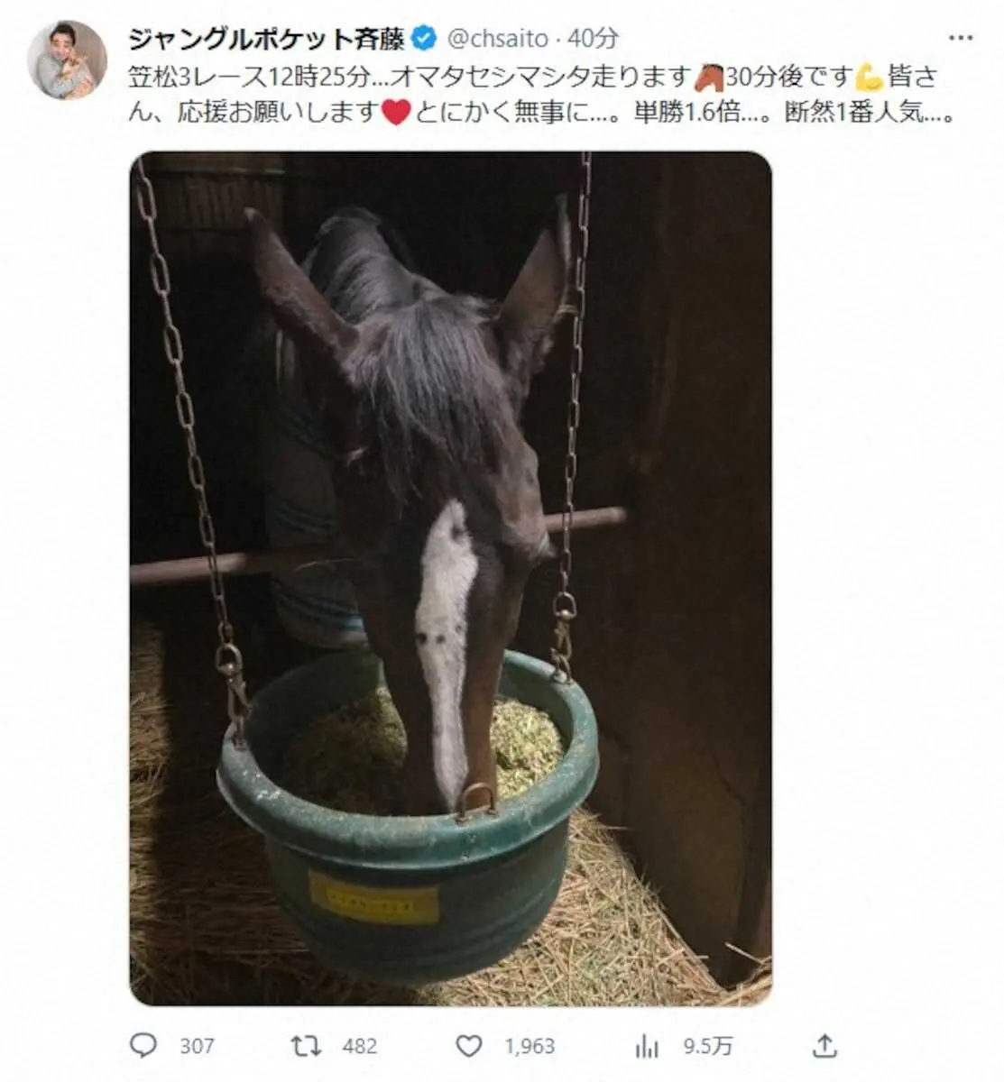 ジャングルポケット斉藤のツイッター(@chsaito)から