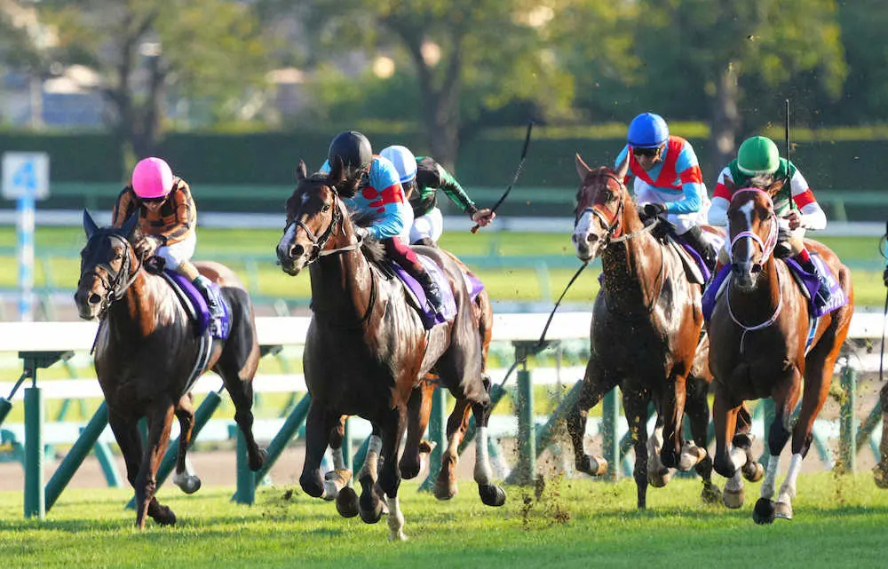 昨年10月、スプリンターズSを制した福永騎乗のピクシーナイト（中央）