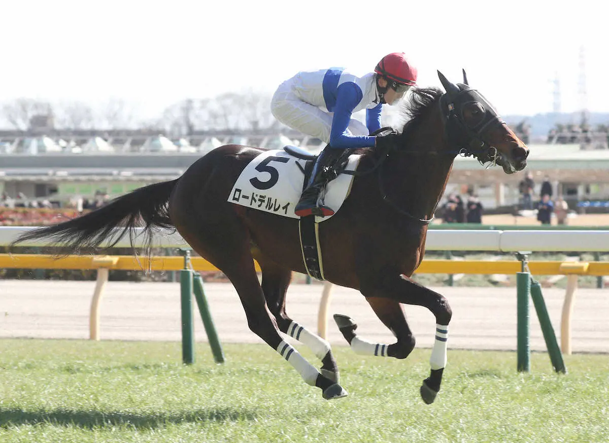 ＜東京6R・メイクデビュー東京＞新馬戦を制した（5）ロードデルレイ（撮影・村上　大輔）