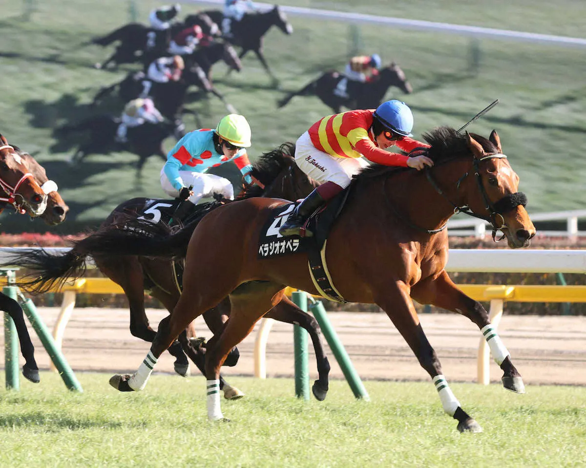 ＜東京9R・セントポーリア賞＞レースを制した（4）ベラジオオペラ（撮影・村上　大輔）