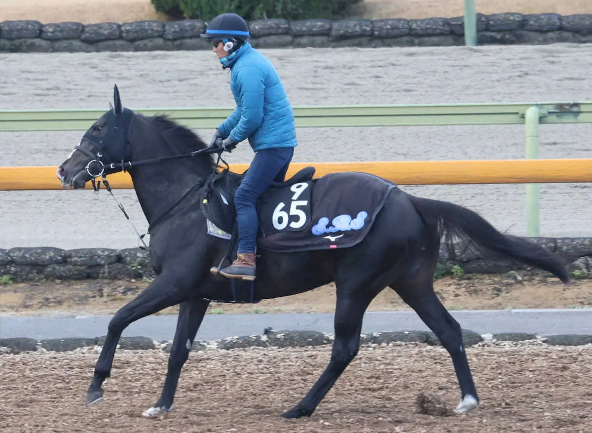 3連勝で重賞初挑戦初Vを狙うフリームファクシ