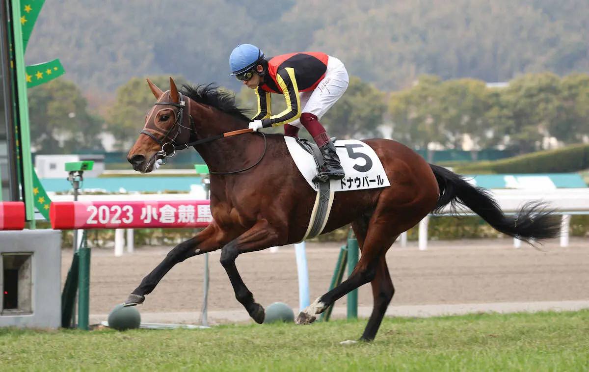 ＜小倉2R＞直線で抜け出し勝利する福永祐一騎手騎乗のドナウパール（撮影・亀井　直樹）