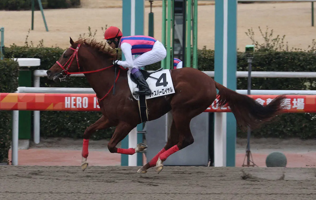 ＜小倉3R＞逃げ切り勝ちする武豊騎手騎乗のジャスパーロイヤル（撮影・亀井　直樹）