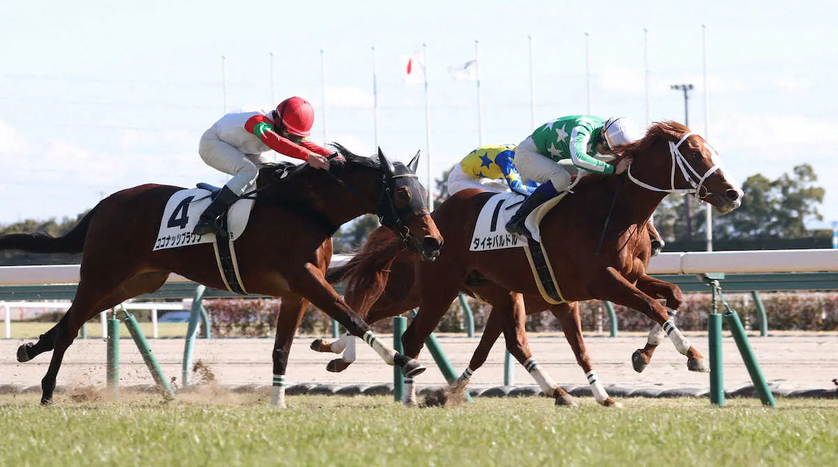 ＜中京6R＞ココナッツブラウンの追い込みを退け勝利するタイキバルドル（右）（撮影・亀井　直樹）