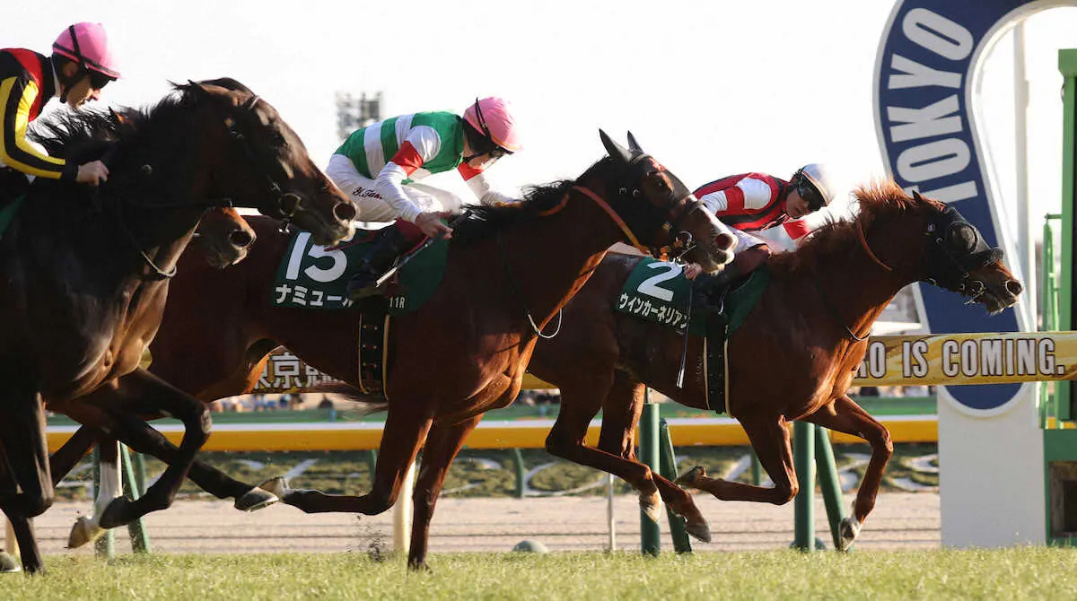 ＜東京11R・東京新聞杯＞（左から）プレサージュリフト、ナミュールの猛追を振り切ったウインカーネリアン（撮影・村上　大輔）
