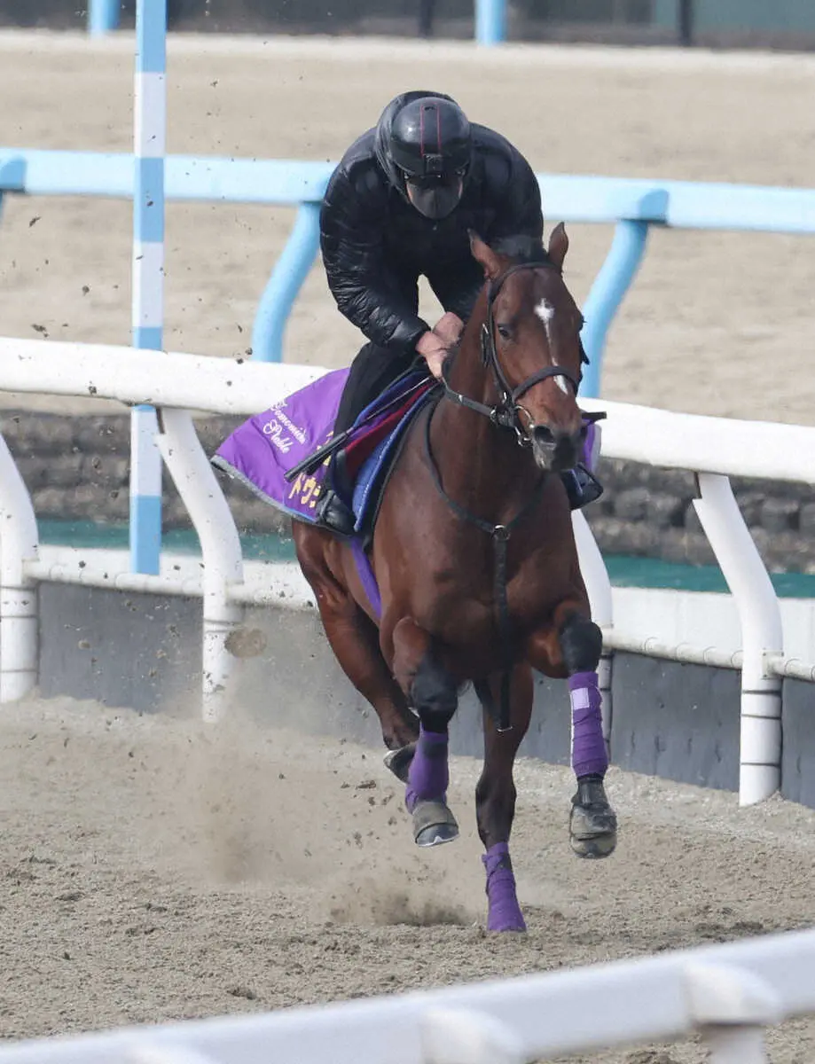 ポリトラックで追い切るドウデュース（撮影・亀井直樹）