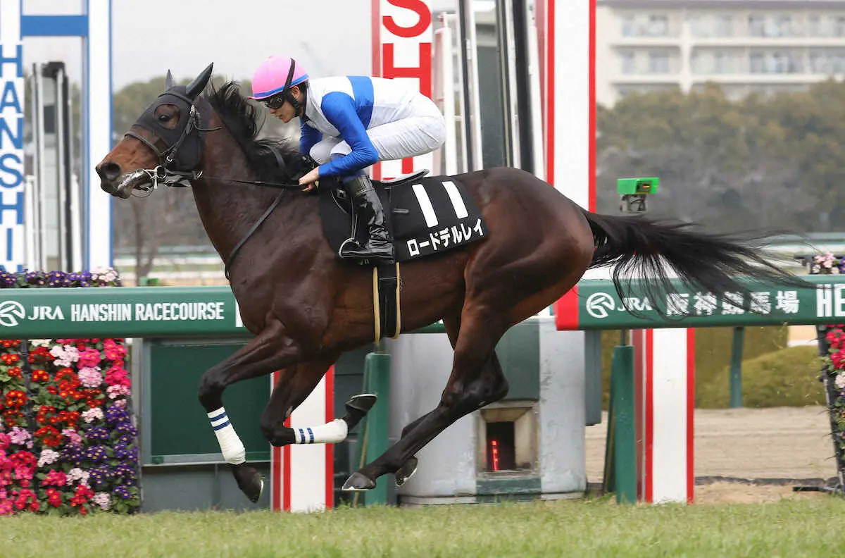 ＜つばき賞＞直線で抜け出し勝利するロードデルレイ　（撮影・亀井　直樹）