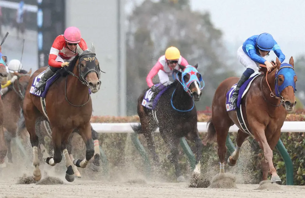 フェブラリーSで2着に入ったレッドルゼル（左）