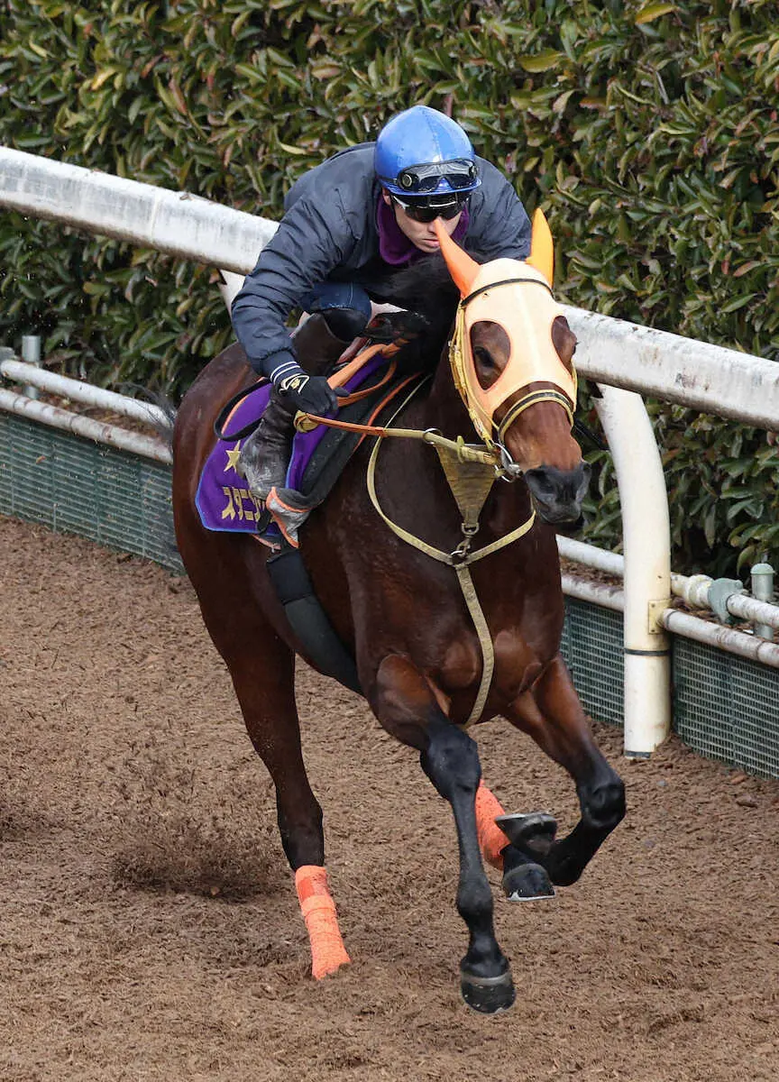 吉田隼人を背に坂路を単走で追い切るスタニングローズ
