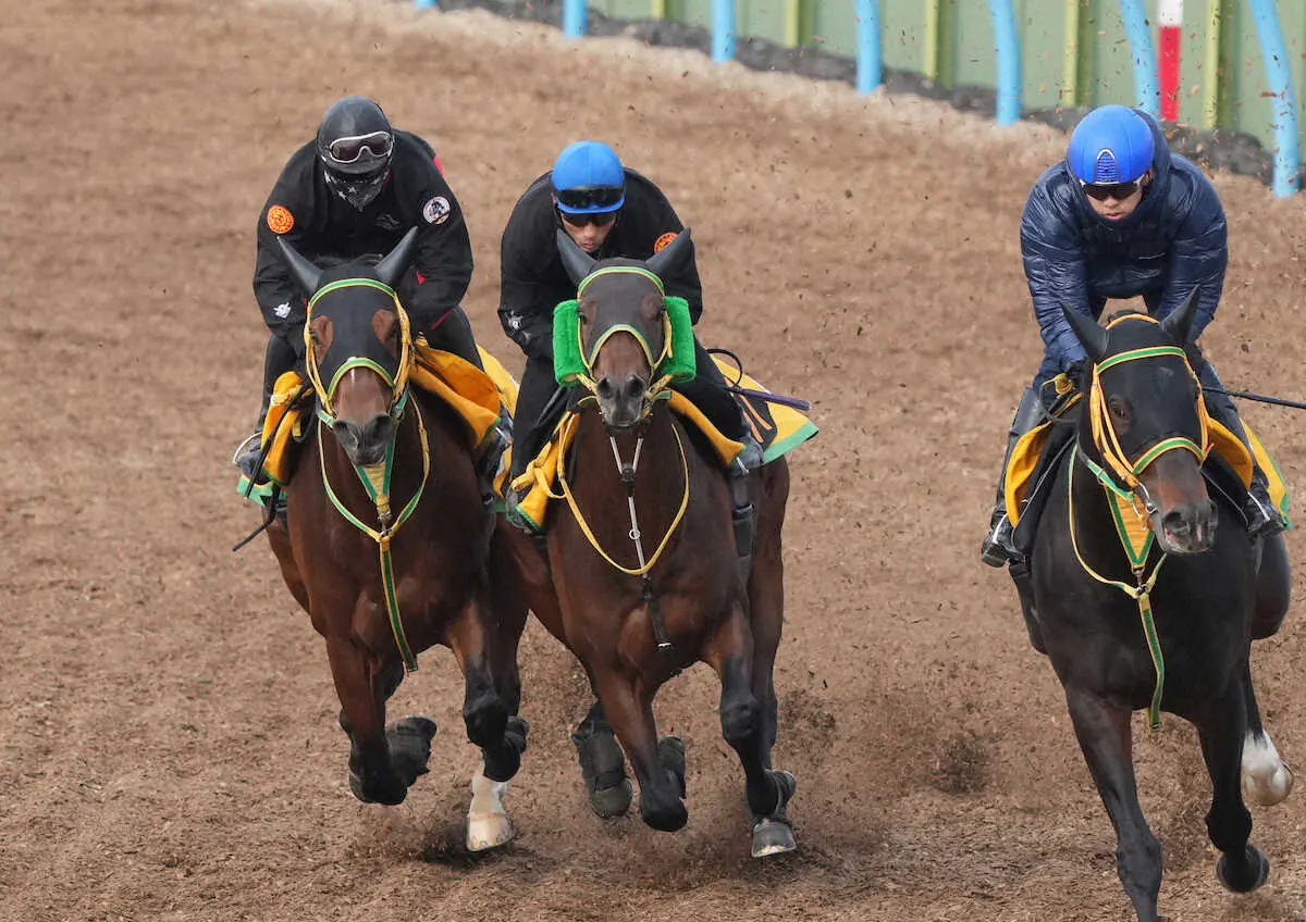 吉田豊を背にWコース3頭併せで追い切るアームブランシュ（中央）＝撮影・郡司　修