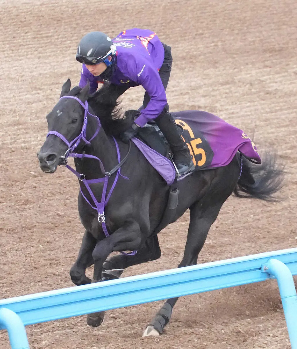 Wコースで追い切るペリファーニア（撮影・郡司　修）