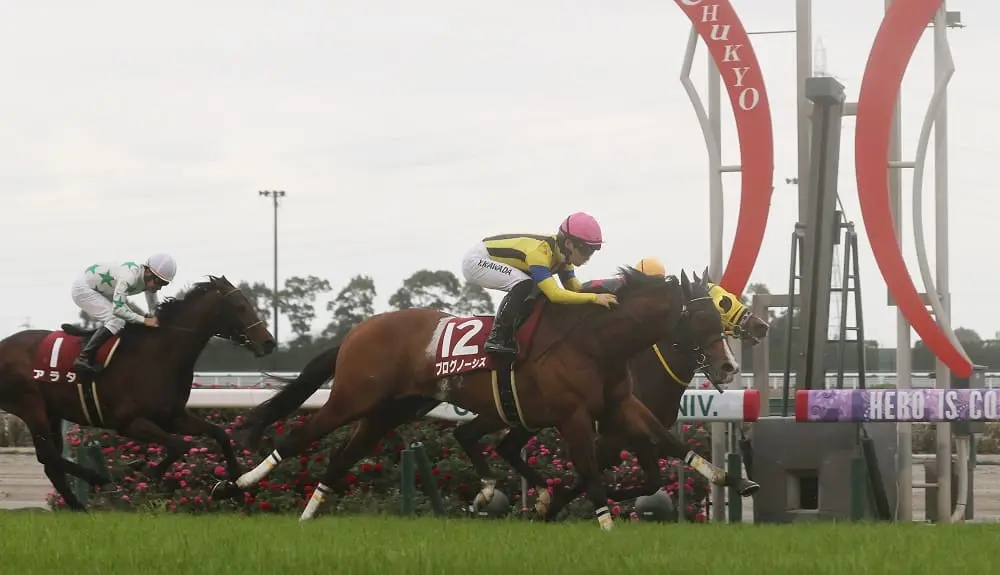 ＜中京競馬　１１Ｒ・金鯱賞＞ゴール前の接戦を制した川田騎乗のプログノーシス（手前）（撮影・椎名　航）