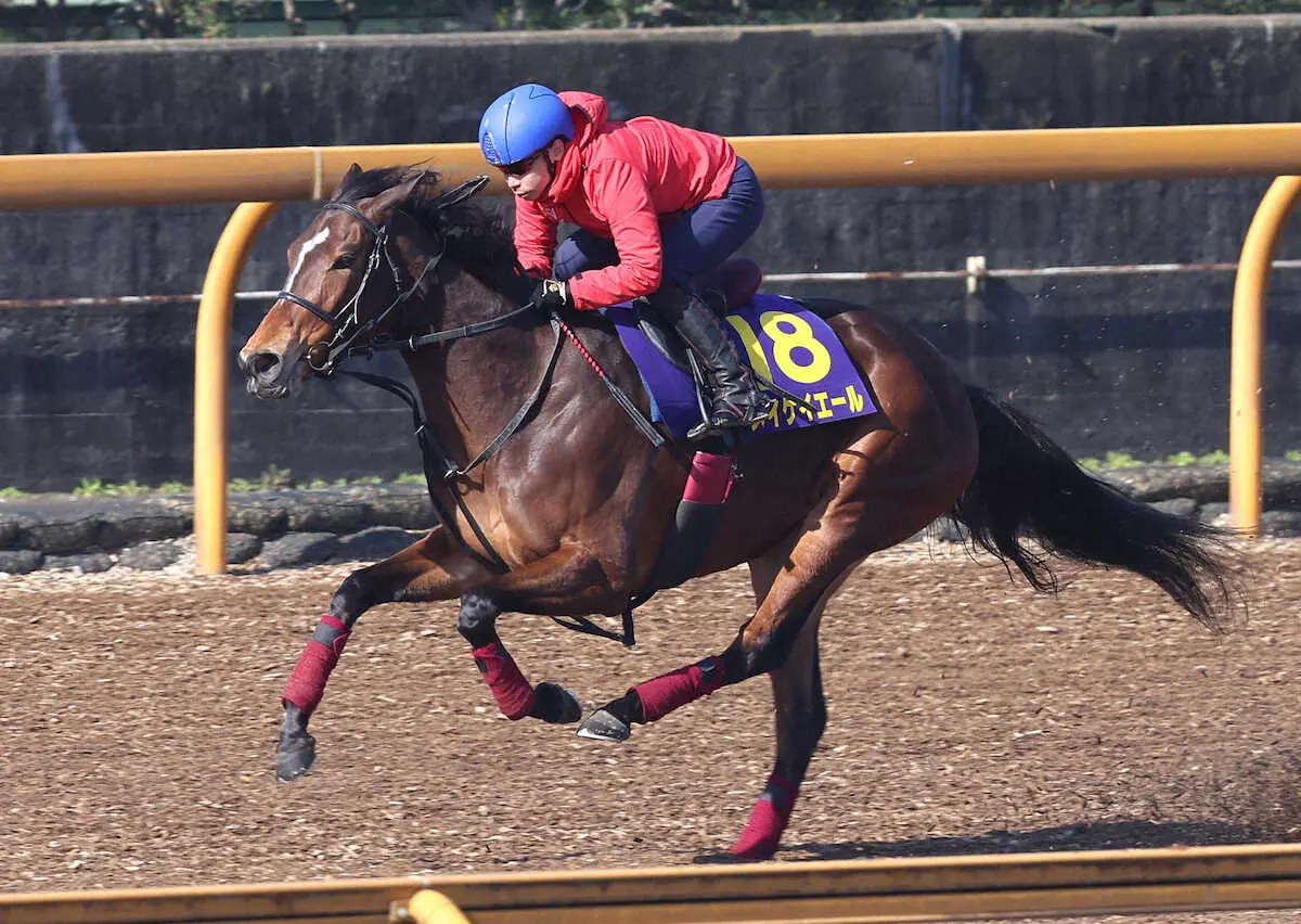 池添謙一を背にCウッドを単走で追い切るメイケイエール