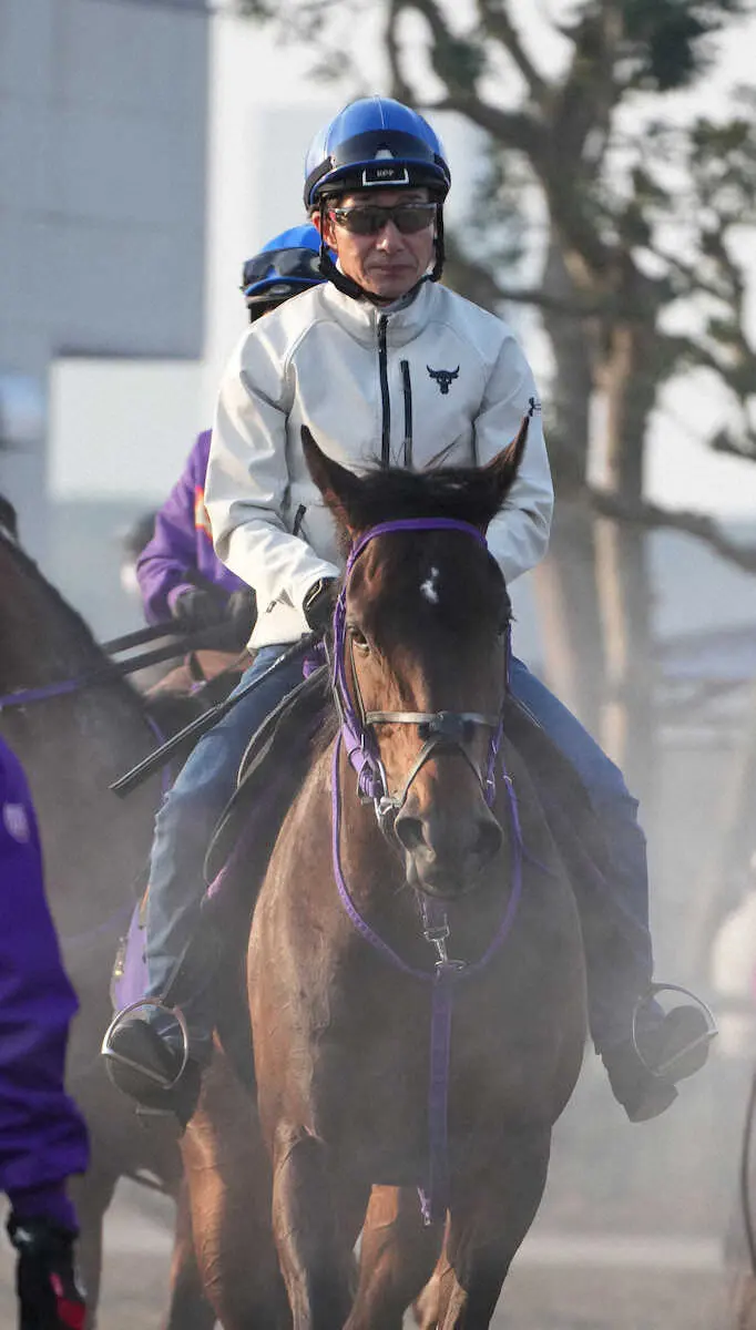 柴田善を背に馬場から引き揚げるシーウィザード