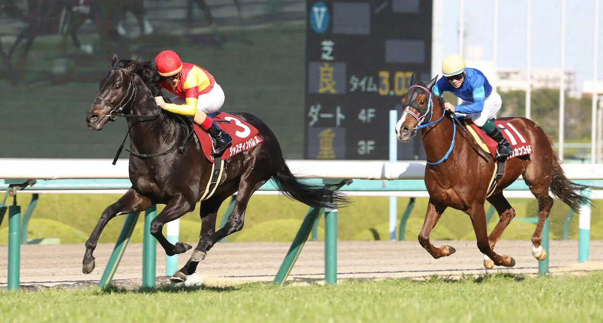 ＜阪神大賞典＞直線で抜け出し勝利するジャスティンパレス（左）と後ろを振り向くルメール騎手（撮影・亀井　直樹）