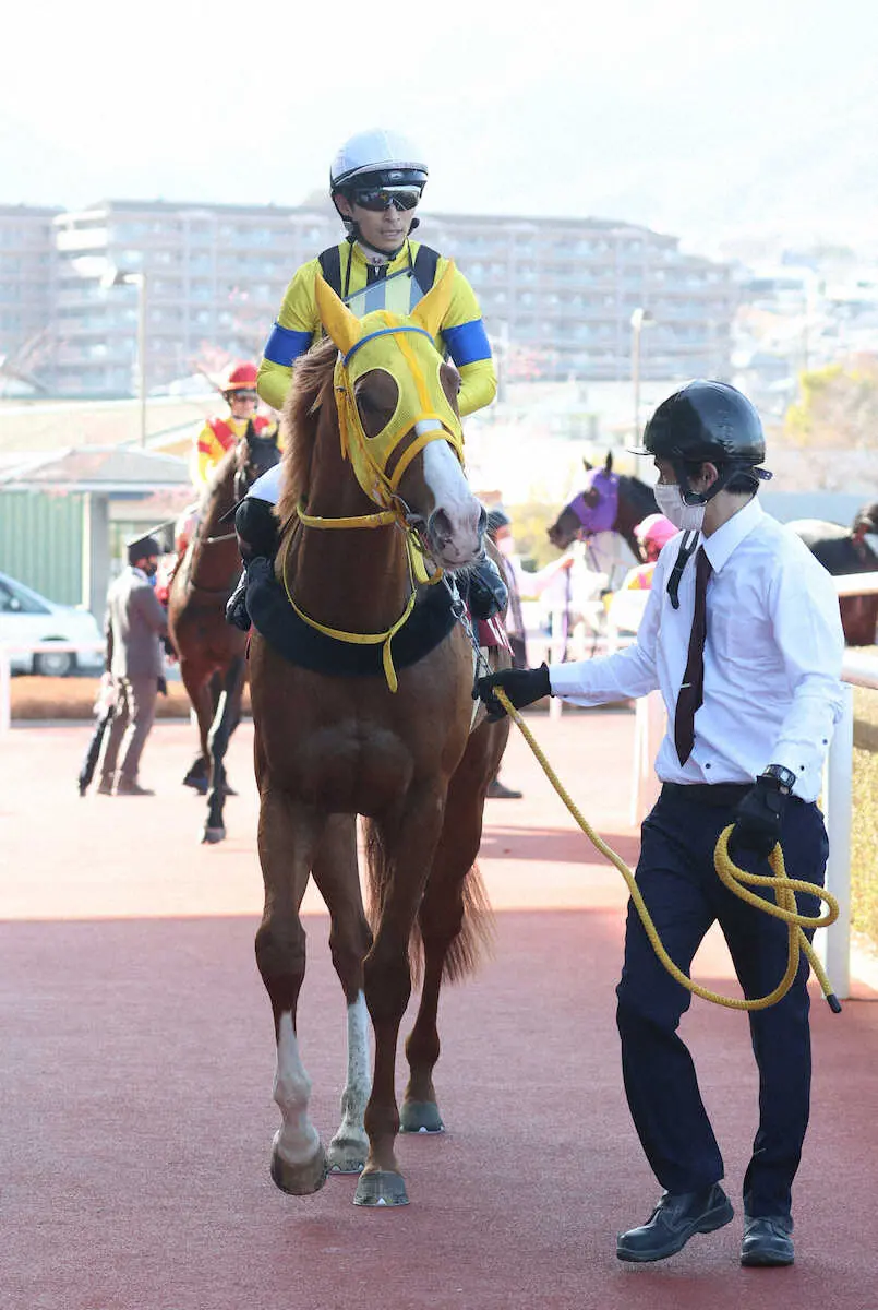 ＜阪神大賞典＞2着のボルドグフーシュ（撮影・亀井　直樹）