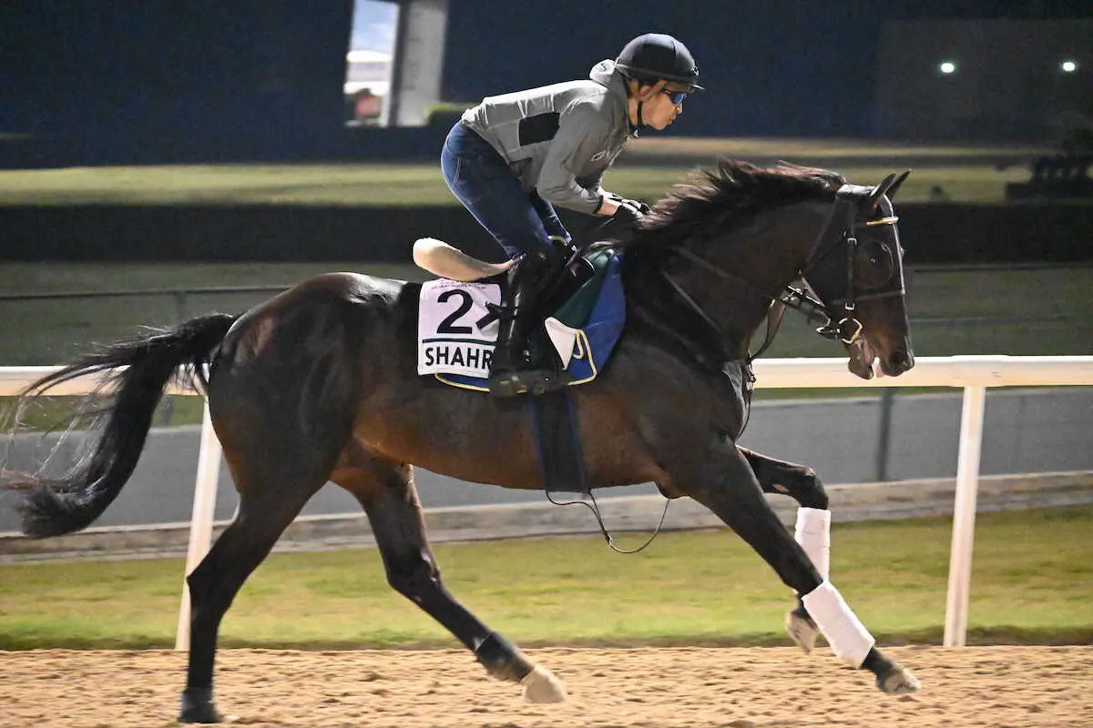 メイダン競馬場で福永師を背に調整するシャフリヤール