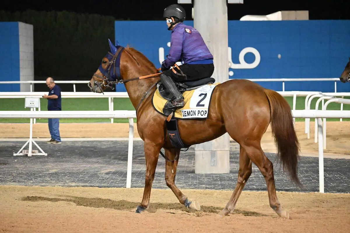 メイダン競馬場で調整するレモンポップ