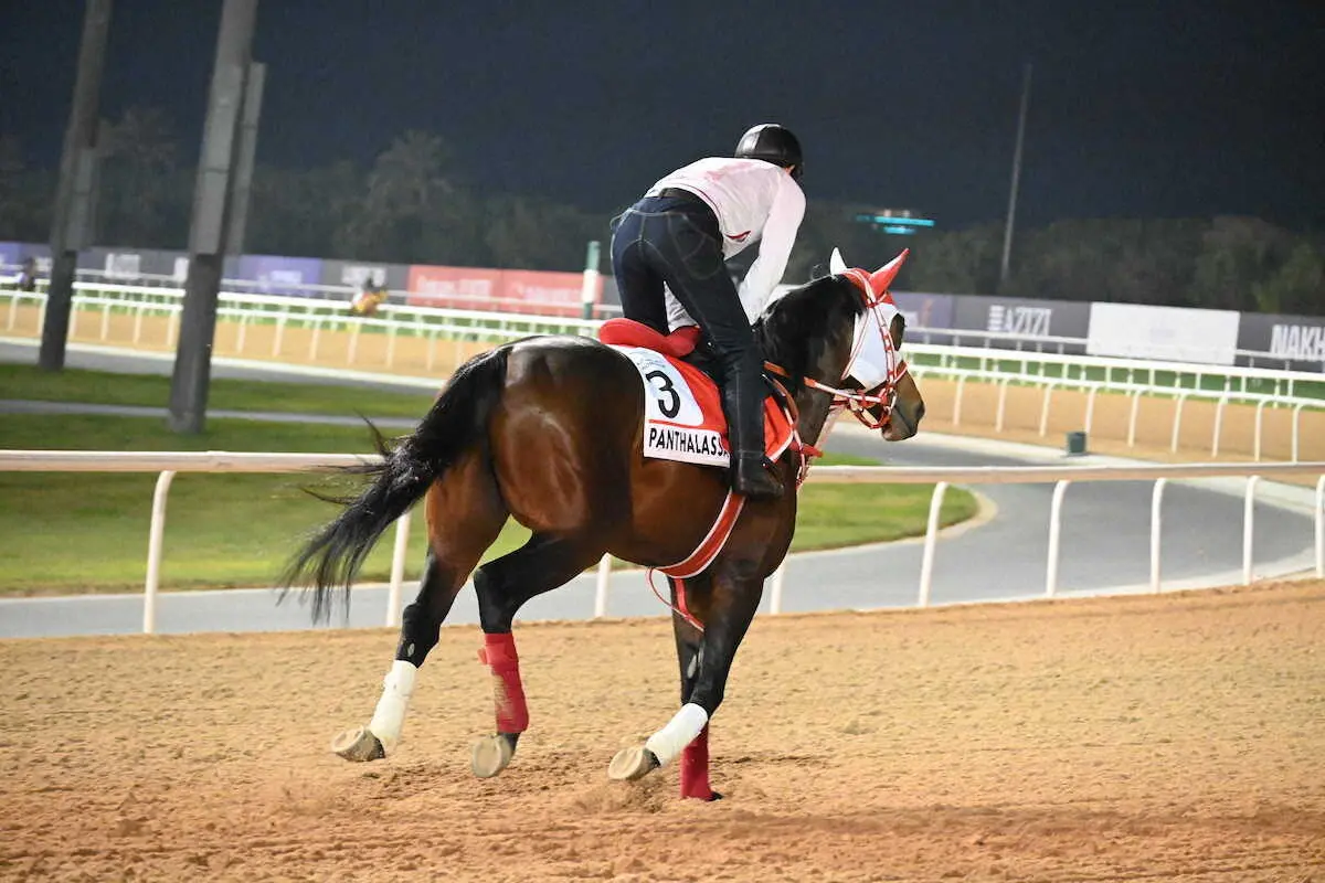 メイダン競馬場で調整するパンサラッサ