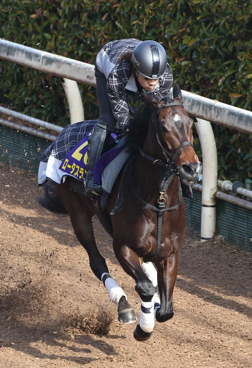 坂路を単走で追い切るロータスランド