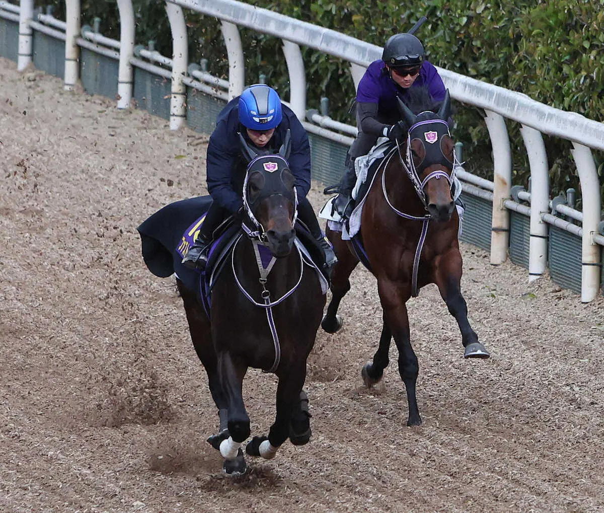 団野大成を背に坂路をオリンピックデイ（右）と併せ馬で追い切るファストフォース