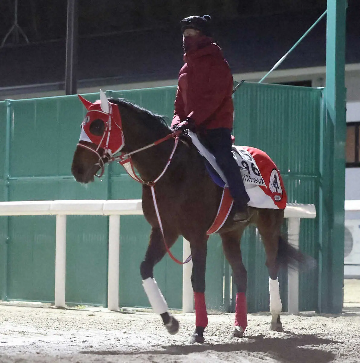 バスラットレオン