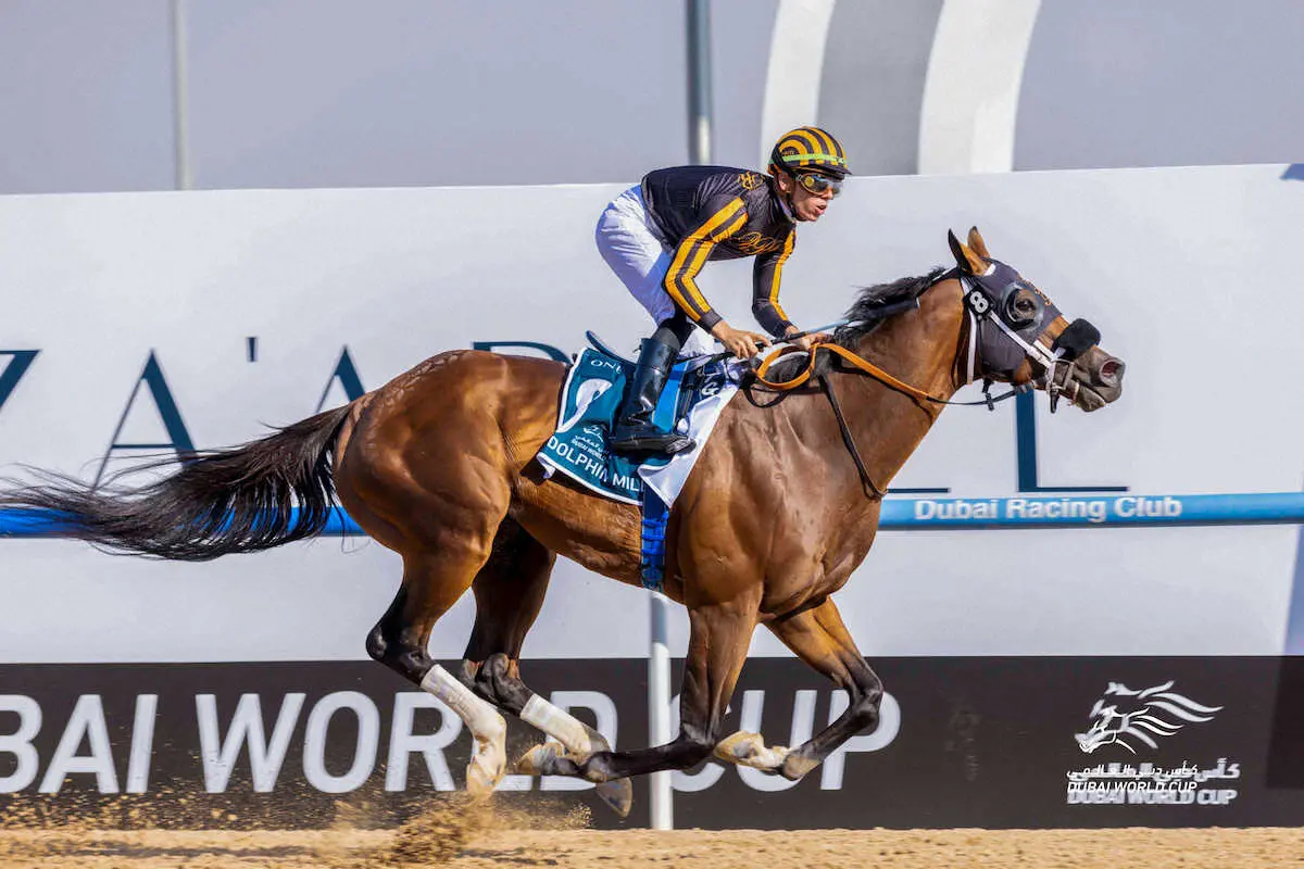 ゴドルフィンマイルを制したアイソレート。鞍上はT・ガファリオン(C)Dubai　Racing　Club
