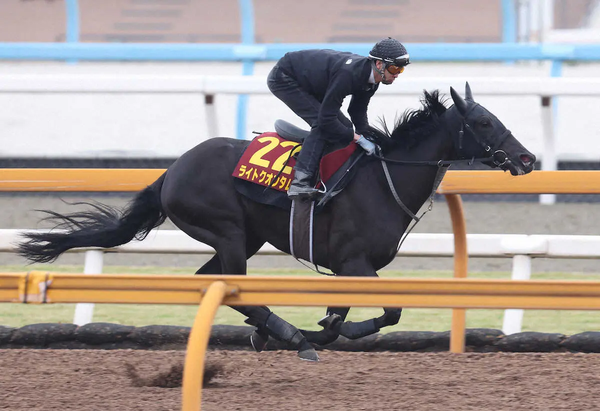 ライトクオンタムは最終追い切りで軽快な動きを見せた