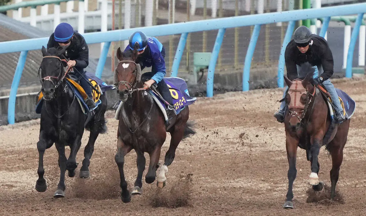 3頭併せで追い切るタスティエーラ（中）（撮影・郡司修）