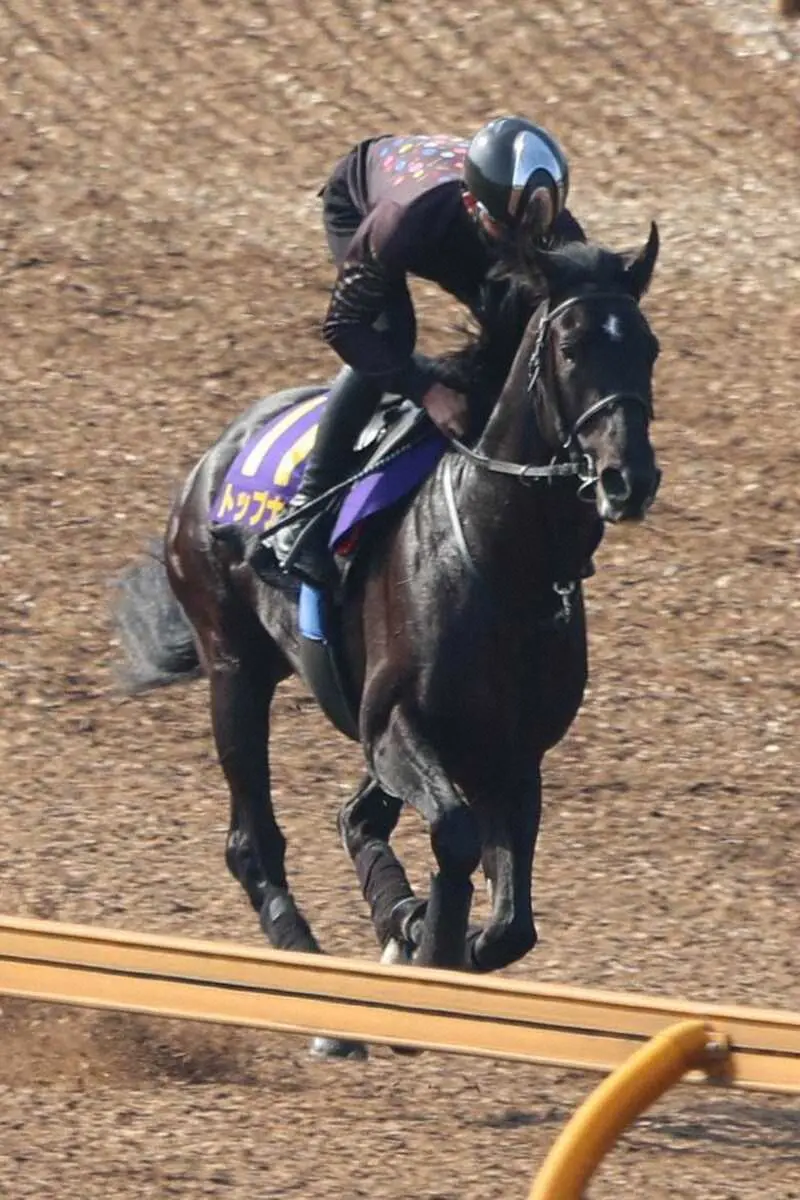 CWコースをキャンターで周回するトップナイフ