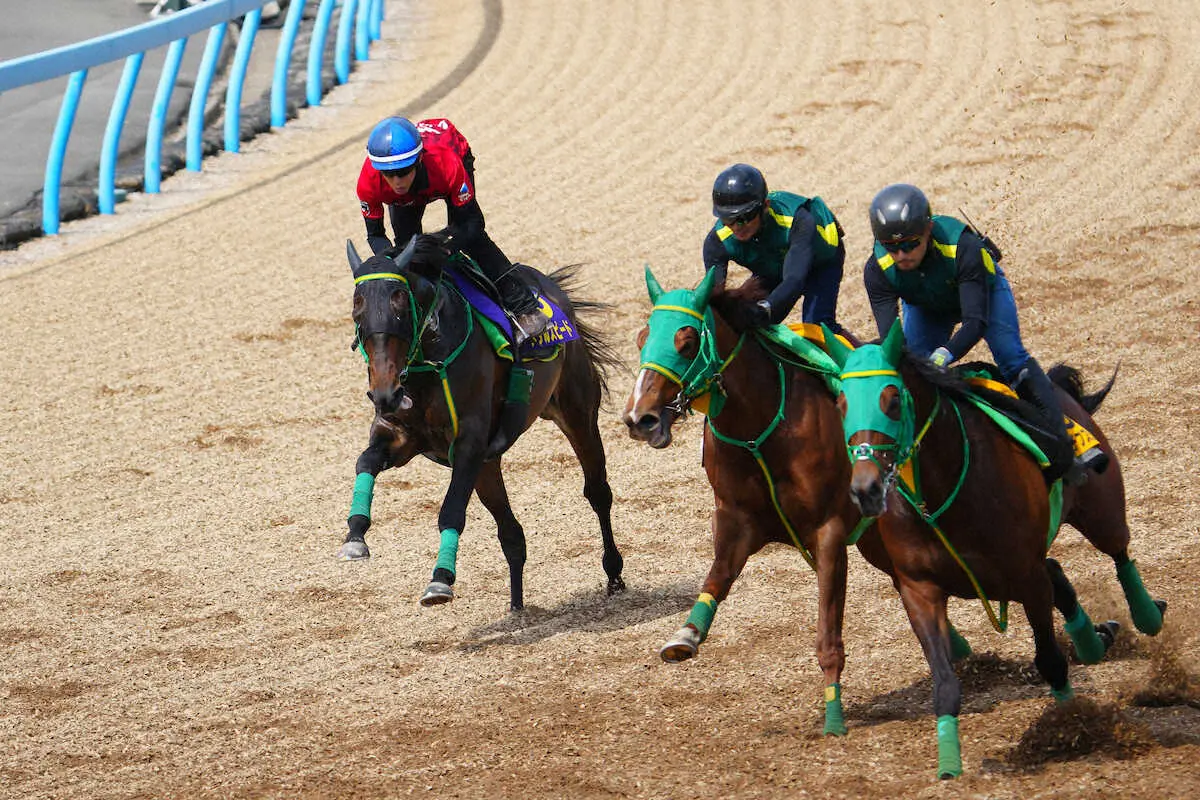 ウッドチップコースを3頭併せで追い切るメタルスピード（左）（撮影・河野光希）