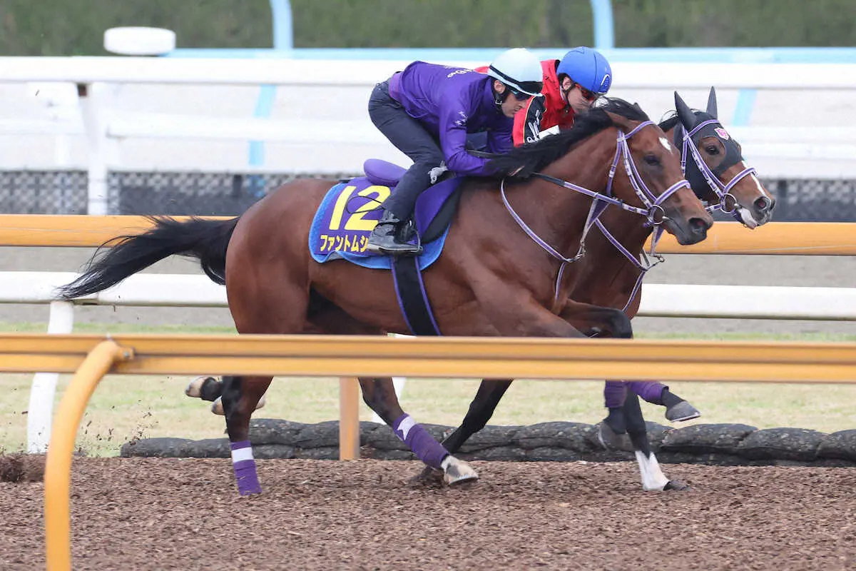 ルメールを背にCWコースにて併せ馬で追い切るファントムシーフ（手前）（撮影・亀井直樹）