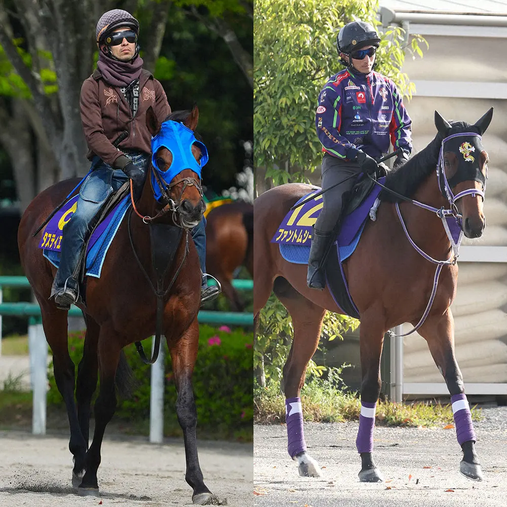 タスティエーラとファントムシーフ（右）