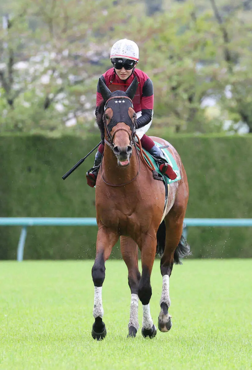 ＜アーリントンC＞3着のショーモン（撮影・平嶋　理子）