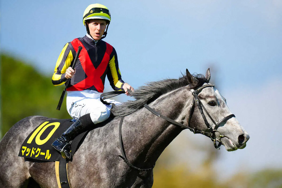 ＜中山競馬　10R・春雷S＞レースを制したレーン騎乗のマッドクール（撮影・河野　光希）