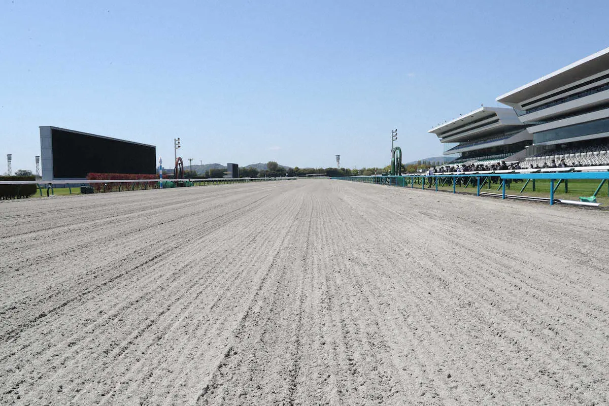 新装された京都競馬場のダートコース（撮影・奥調）