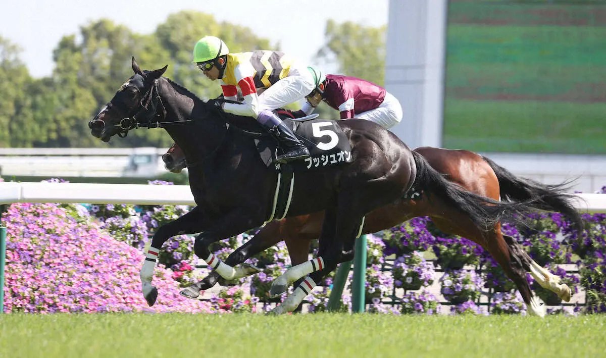 ＜あやめ賞＞外から差し切り勝利するプッシュオン（撮影・亀井　直樹）