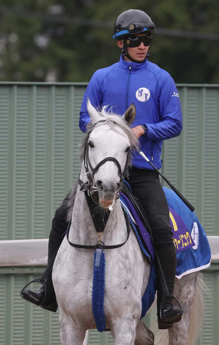 運動するシルヴァーソニック（撮影・亀井直樹）