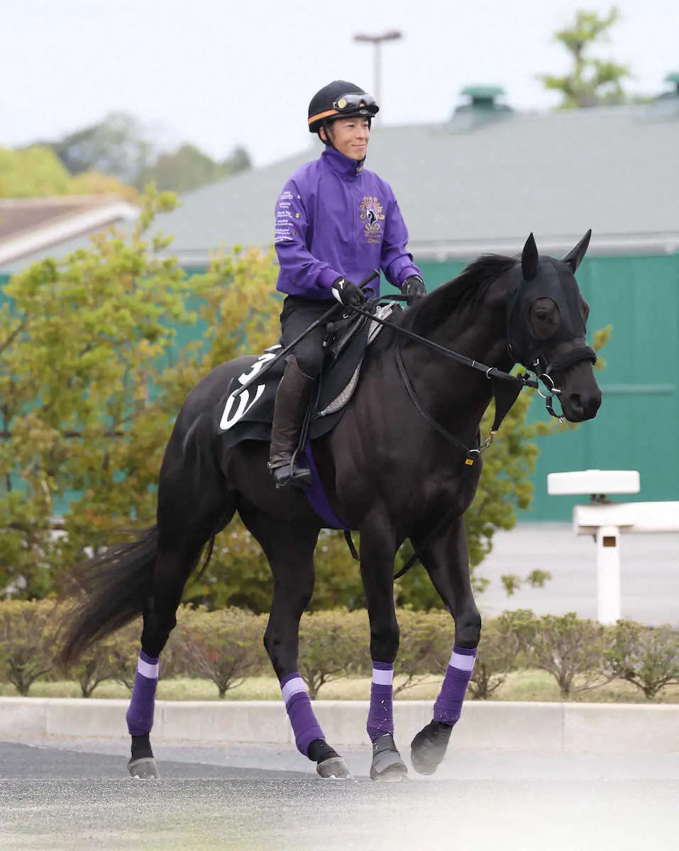 厩舎周りで運動するグランヴィノス