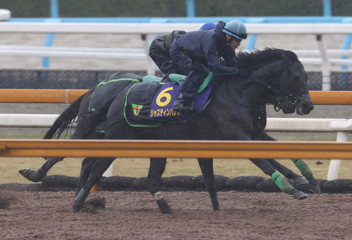 ルメールを背にCWコースにて併せ馬で追い切るジャスティンパレス（撮影・亀井直樹）