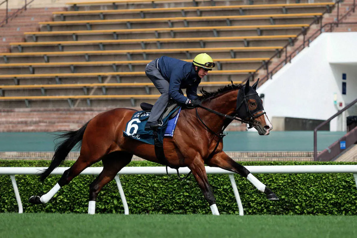 追い切りを行うプログノーシス（C）The　Hong　Kong　Jockey　Club