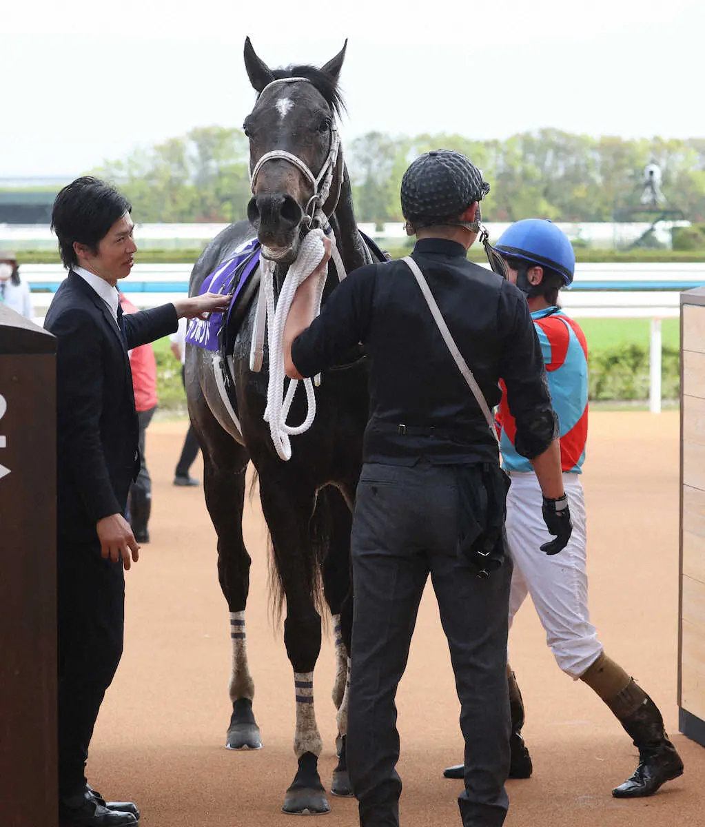 ＜京都11R・天皇賞春＞　2着のディープボンド　（撮影・亀井　直樹）