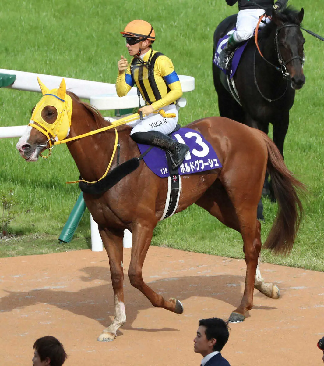 ＜京都競馬　11R天皇賞（春）＞6着に終わり引き揚げるボルドグフーシュ（13）　（撮影・奥　調）