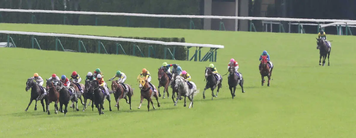 ＜京都競馬　11R天皇賞（春）＞4コーナーで競走中止したタイトルホルダー（右）　　（撮影・奥　調）